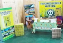 En Misiones, una cooperativa produce y envasa yerba mate, con marca propia, y efectúa su comercialización